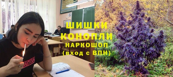 тгк Абаза