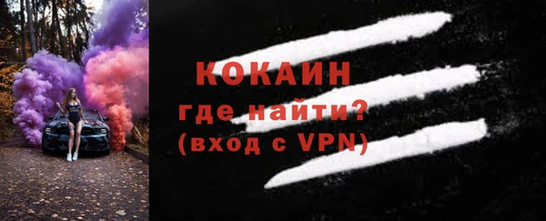 тгк Абаза