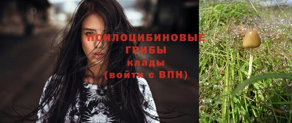 дживик Алексеевка