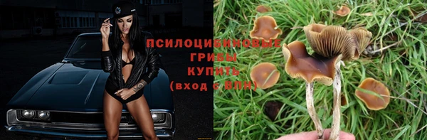 дживик Алексеевка