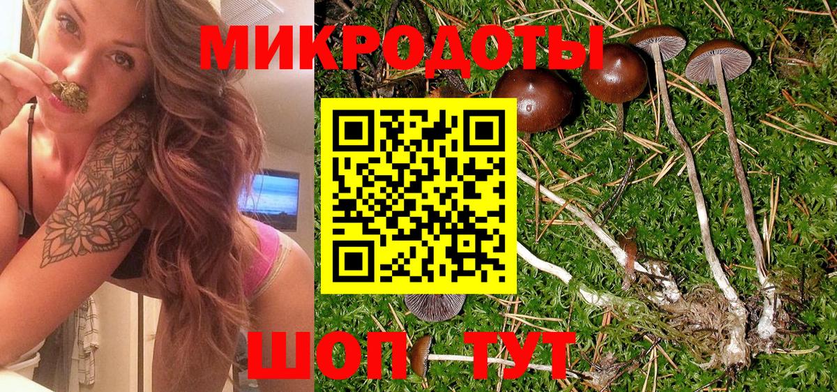 Псилоцибиновые грибы Cubensis Лысьва