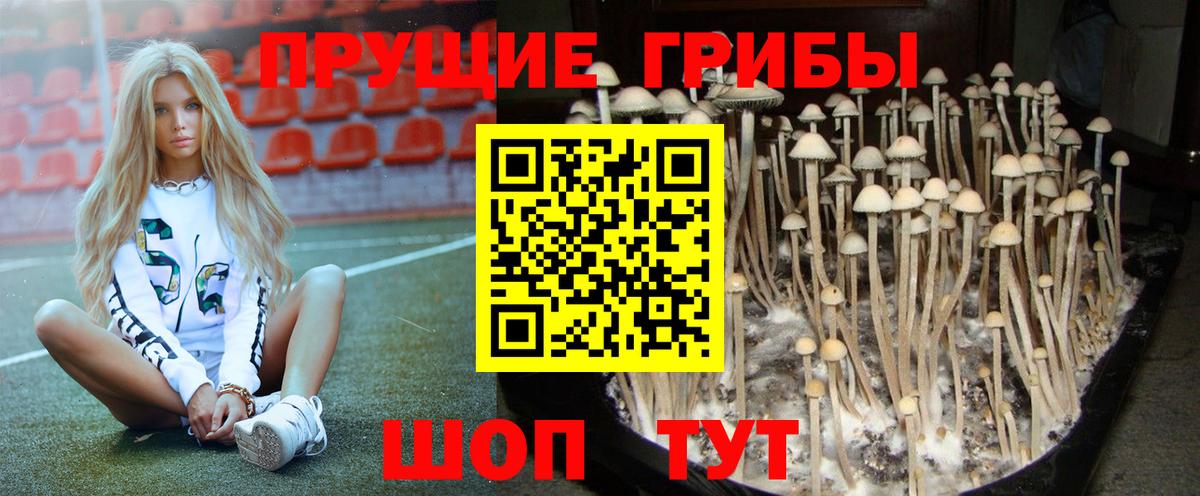 Псилоцибиновые грибы Cubensis  Вход с VPN  Лысьва 